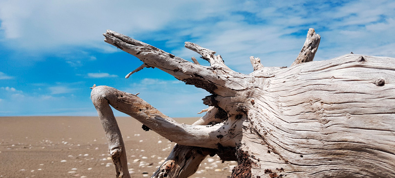 La Chiquita Balneario