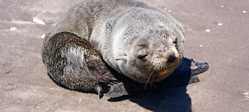 La Chiquita Balneario